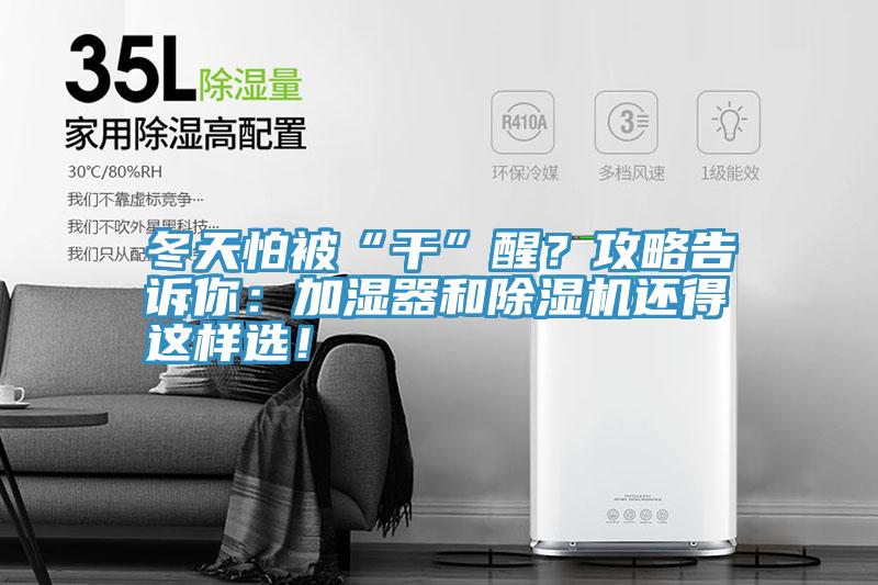 冬天怕被“干”醒？攻略告訴你：加濕器和除濕機還得這樣選！