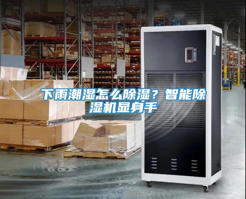 下雨潮濕怎么除濕？智能除濕機(jī)顯身手