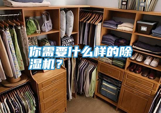 你需要什么樣的除濕機(jī)？