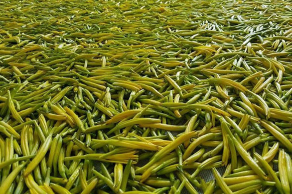 無硫金針菜烘干如何保持品相？不發(fā)黑？_除濕機(jī)廠家