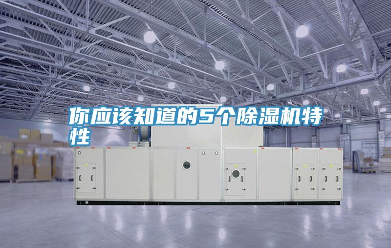你應(yīng)該知道的5個除濕機(jī)特性