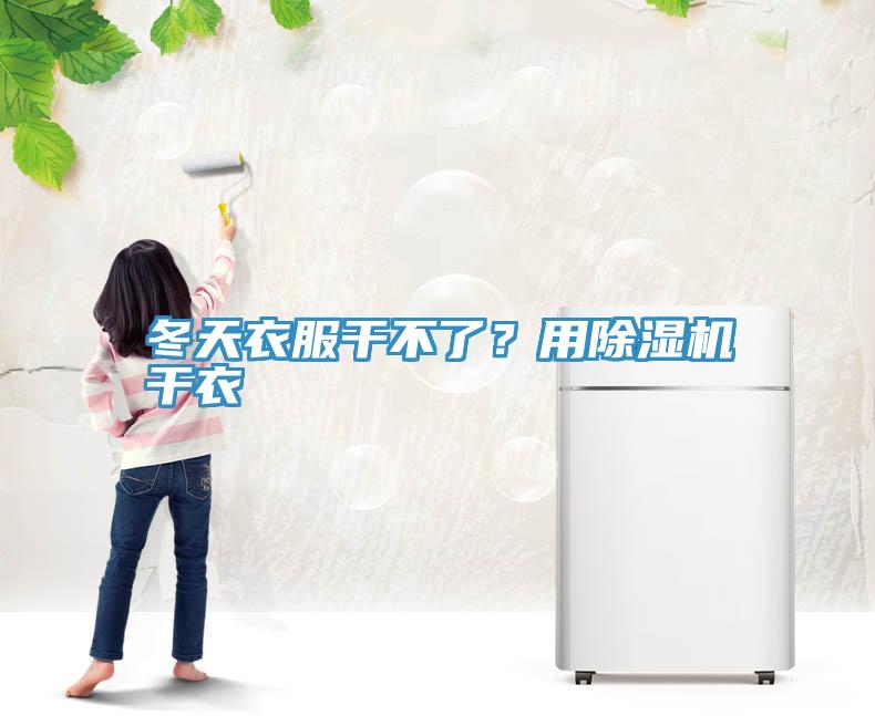 冬天衣服干不了？用除濕機干衣