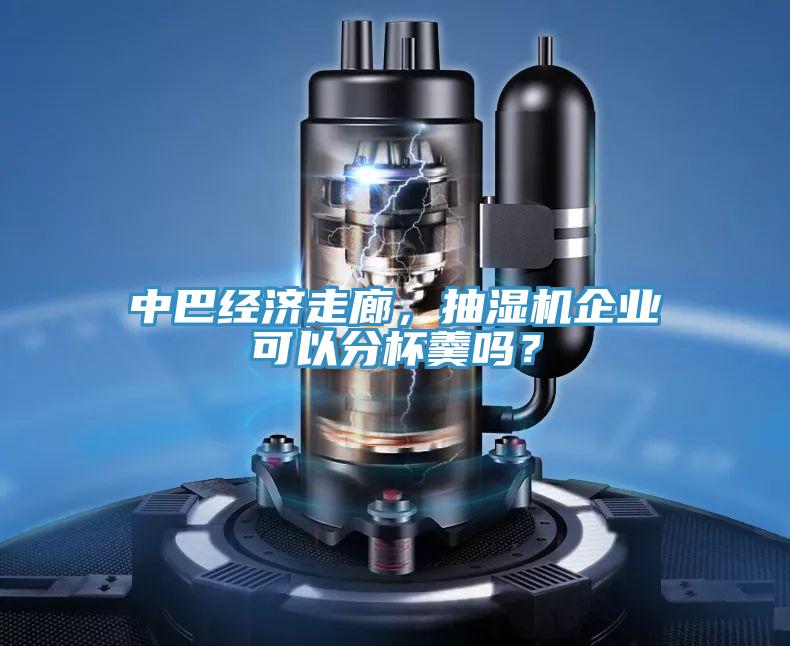 中巴經(jīng)濟走廊，抽濕機企業(yè)可以分杯羹嗎？
