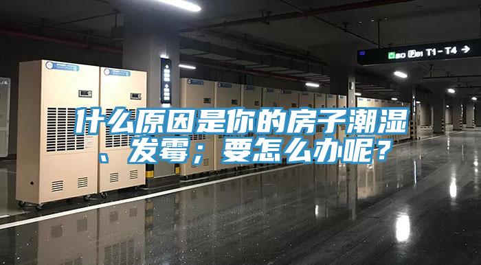 什么原因是你的房子潮濕、發(fā)霉；要怎么辦呢？