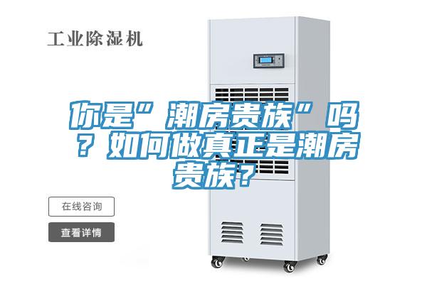 你是”潮房貴族”嗎？如何做真正是潮房貴族？