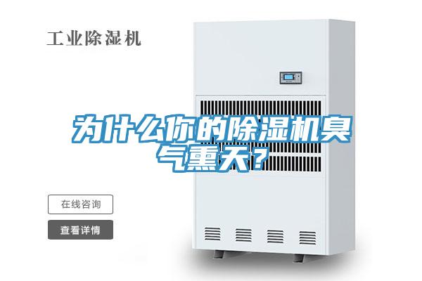 為什么你的除濕機(jī)臭氣熏天？