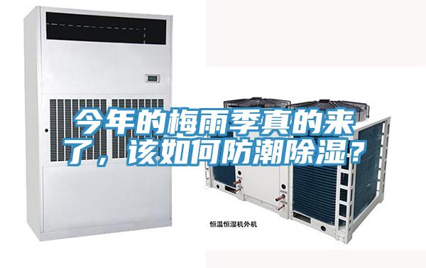 今年的梅雨季真的來了，該如何防潮除濕？