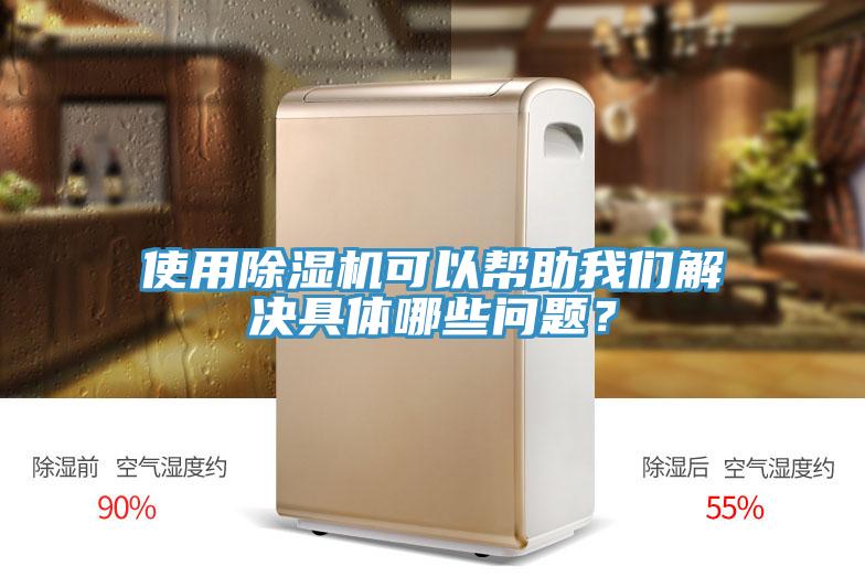 使用除濕機可以幫助我們解決具體哪些問題？