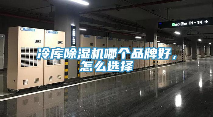 冷庫除濕機哪個品牌好，怎么選擇