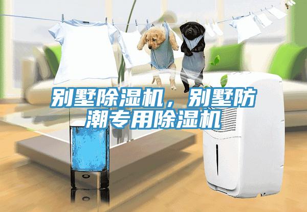 別墅除濕機，別墅防潮專用除濕機
