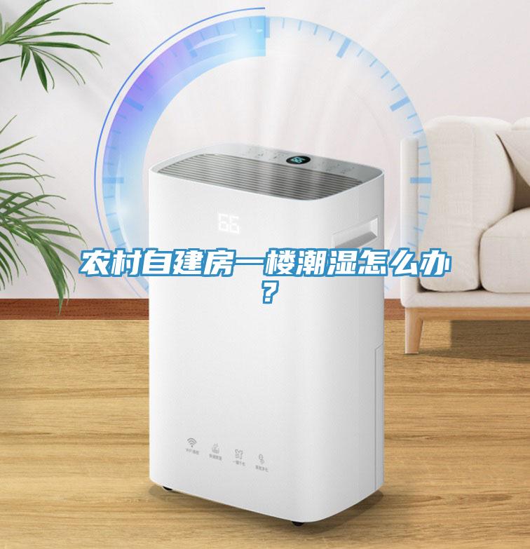 農(nóng)村自建房一樓潮濕怎么辦？