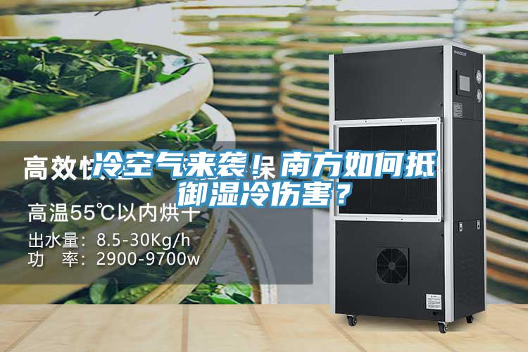 冷空氣來襲！南方如何抵御濕冷傷害？