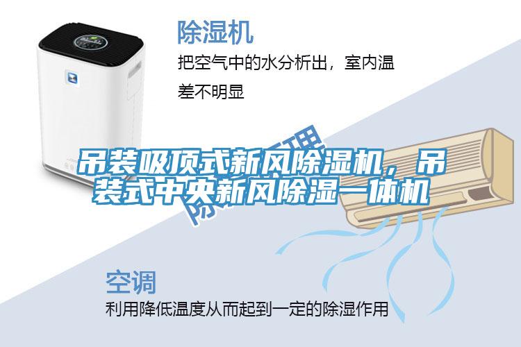 吊裝吸頂式新風(fēng)除濕機，吊裝式中央新風(fēng)除濕一體機