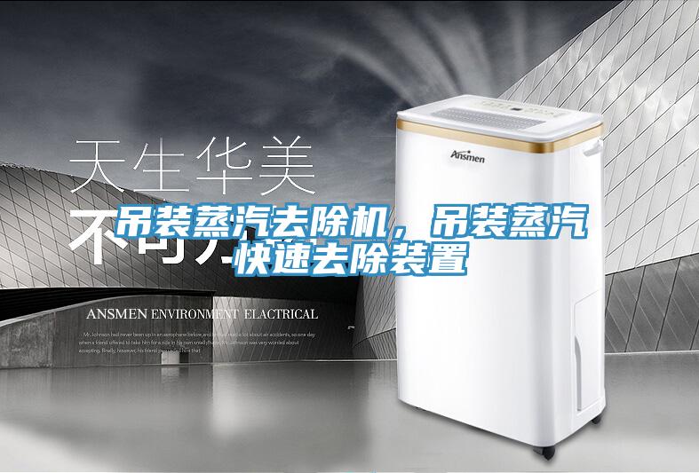 吊裝蒸汽去除機，吊裝蒸汽快速去除裝置