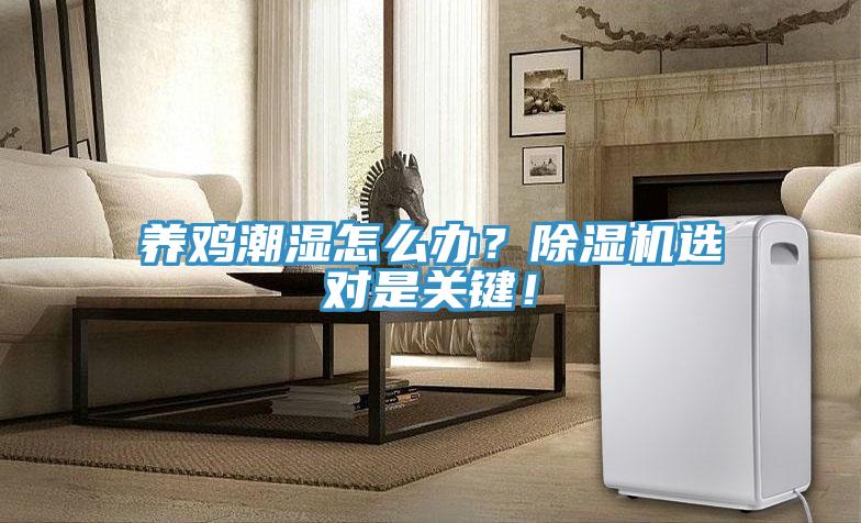 養(yǎng)雞潮濕怎么辦？除濕機(jī)選對(duì)是關(guān)鍵！