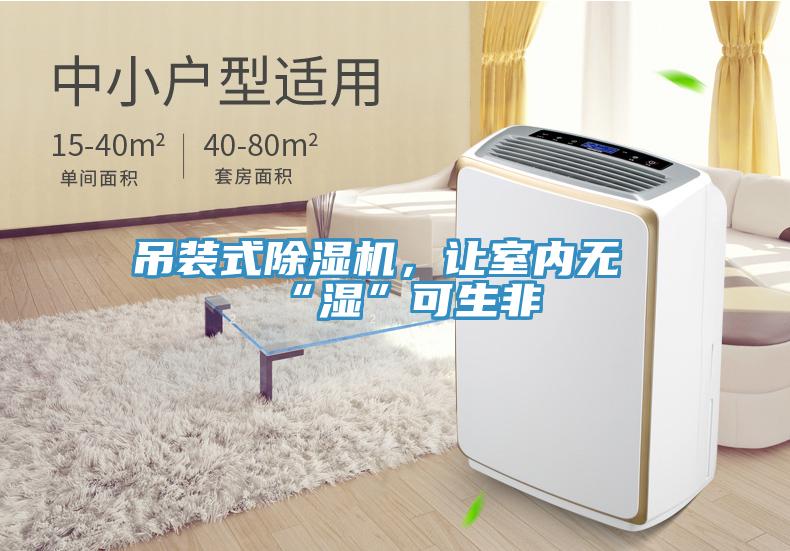 吊裝式除濕機，讓室內(nèi)無“濕”可生非