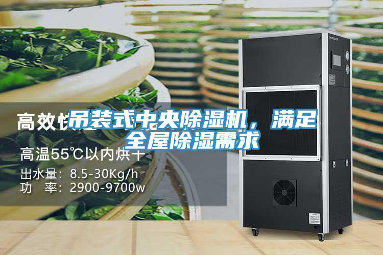 吊裝式中央除濕機，滿足全屋除濕需求