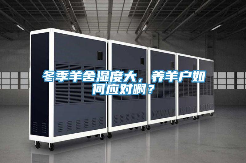 冬季羊舍濕度大，養(yǎng)羊戶如何應對??？