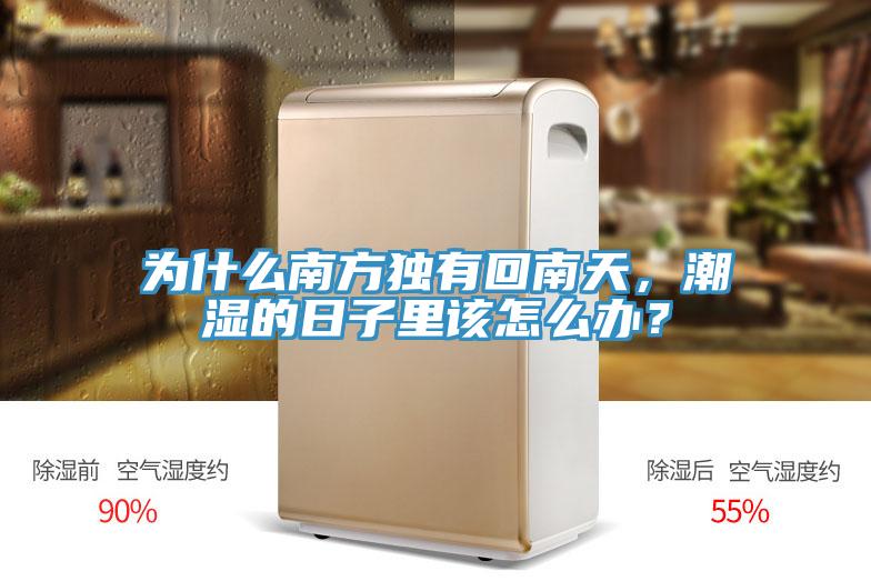 為什么南方獨有回南天，潮濕的日子里該怎么辦？