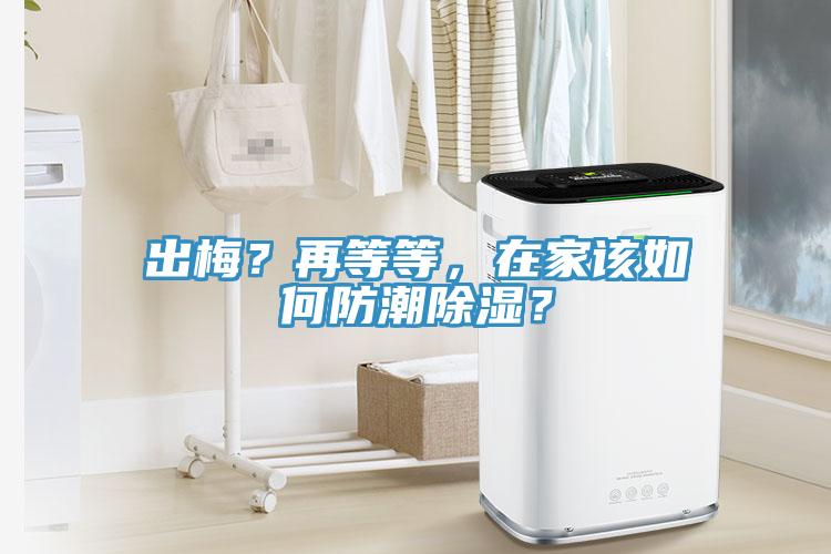 出梅？再等等，在家該如何防潮除濕？