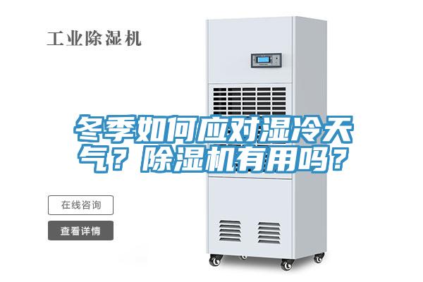 冬季如何應對濕冷天氣？除濕機有用嗎？