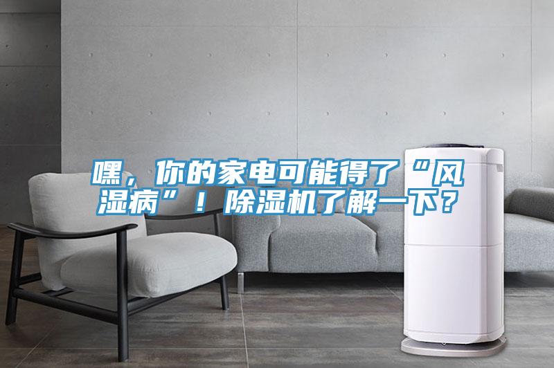嘿，你的家電可能得了“風(fēng)濕病”！除濕機(jī)了解一下？