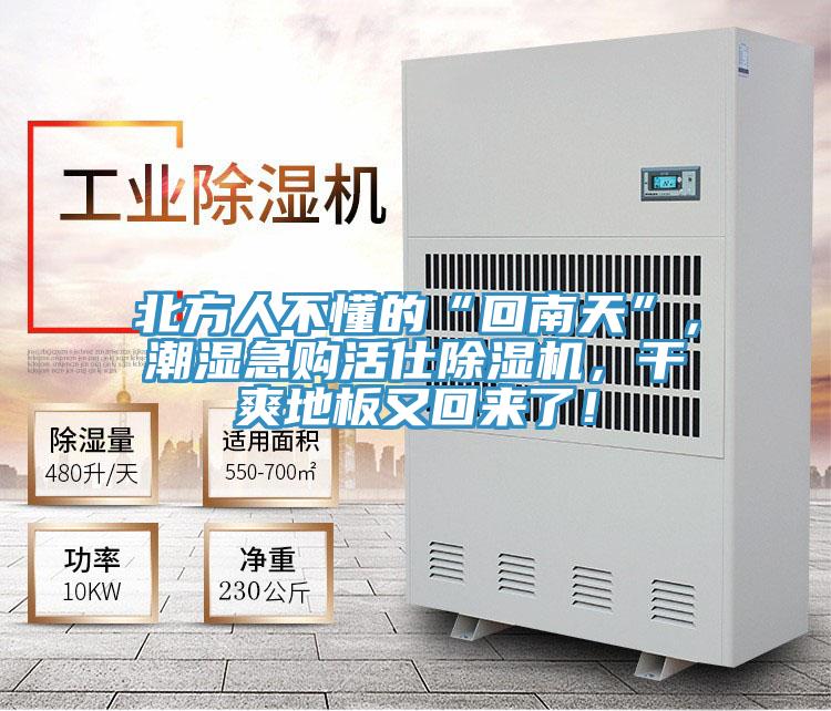 北方人不懂的“回南天”，潮濕急購活仕除濕機，干爽地板又回來了！