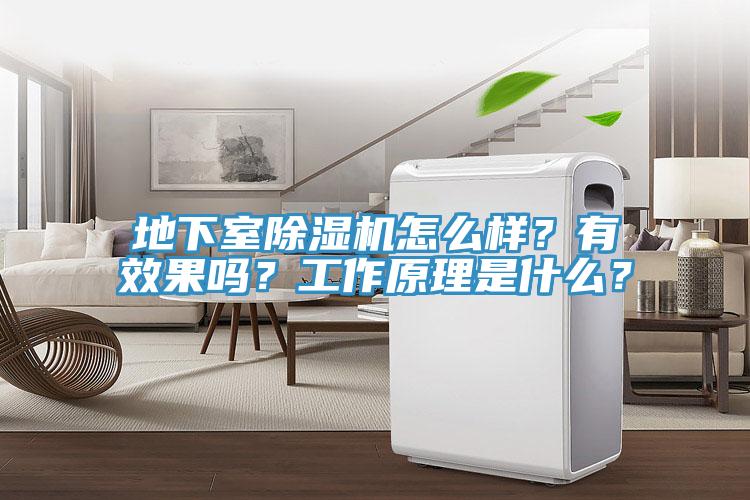 地下室除濕機怎么樣？有效果嗎？工作原理是什么？