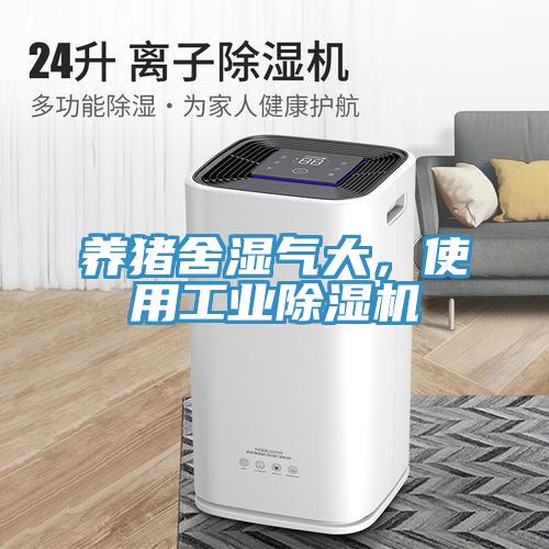 養(yǎng)豬舍濕氣大，使用工業(yè)除濕機(jī)