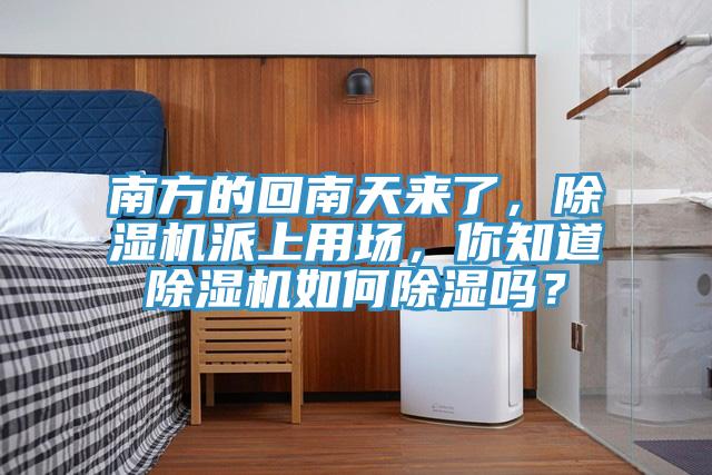 南方的回南天來(lái)了，除濕機(jī)派上用場(chǎng)，你知道除濕機(jī)如何除濕嗎？