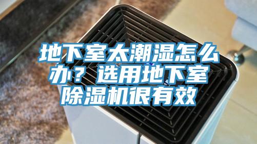 地下室太潮濕怎么辦？選用地下室除濕機(jī)很有效