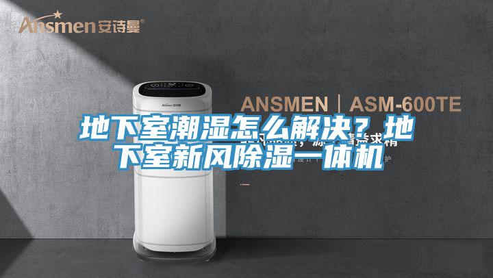 地下室潮濕怎么解決？地下室新風(fēng)除濕一體機(jī)