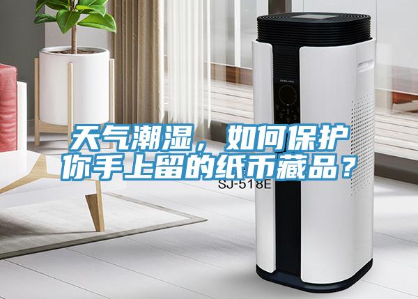 天氣潮濕，如何保護你手上留的紙幣藏品？