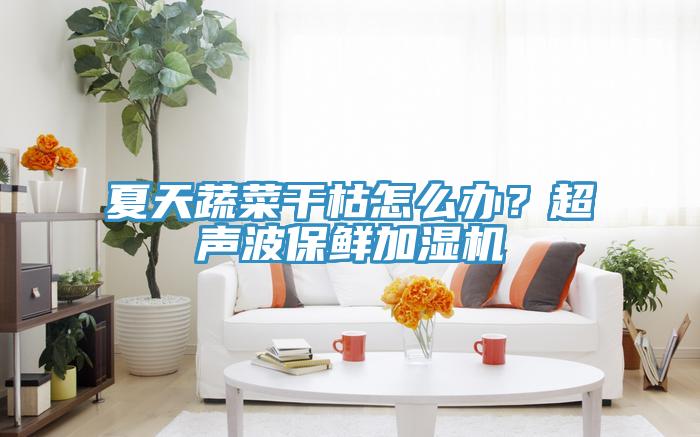夏天蔬菜干枯怎么辦？超聲波保鮮加濕機(jī)