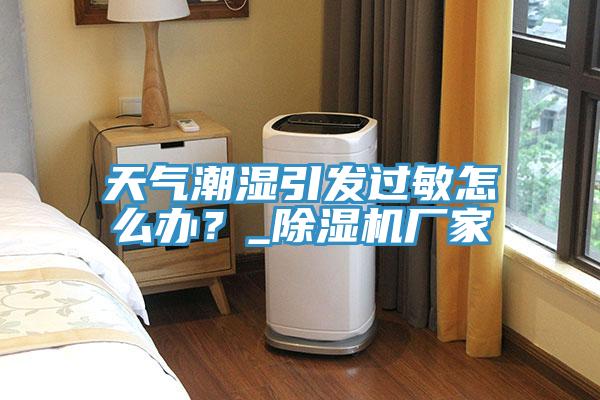 天氣潮濕引發(fā)過敏怎么辦？_除濕機廠家