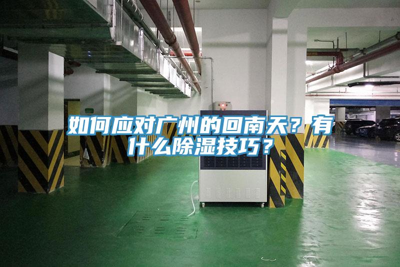 如何應(yīng)對廣州的回南天？有什么除濕技巧？