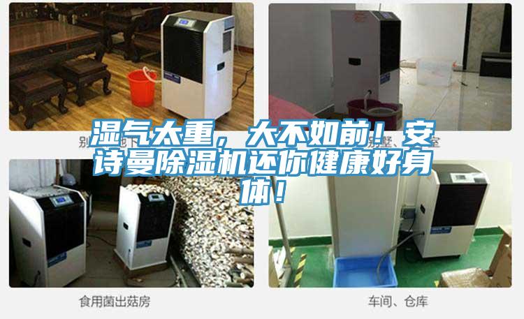 濕氣太重，大不如前！安詩曼除濕機(jī)還你健康好身體！