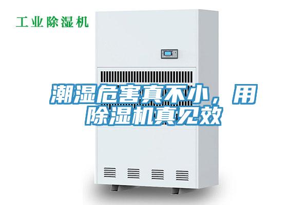 潮濕危害真不小，用除濕機真見效