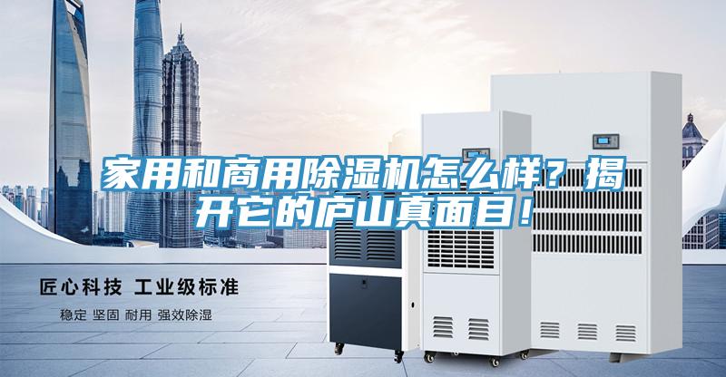 家用和商用除濕機(jī)怎么樣？揭開它的廬山真面目！