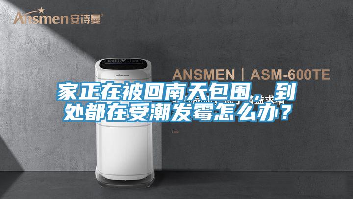 家正在被回南天包圍，到處都在受潮發(fā)霉怎么辦？