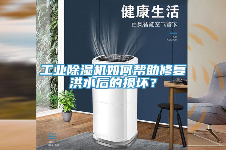 工業(yè)除濕機如何幫助修復(fù)洪水后的損壞？