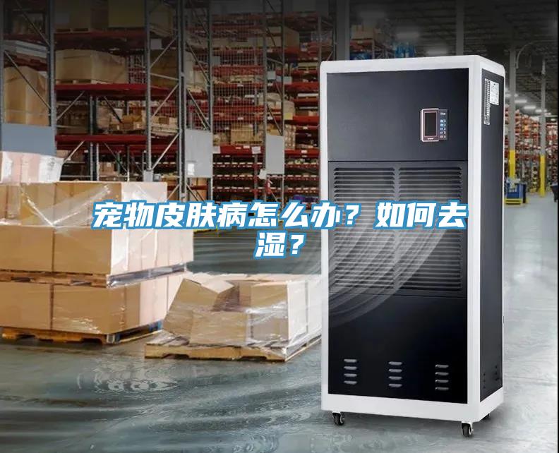 寵物皮膚病怎么辦？如何去濕？