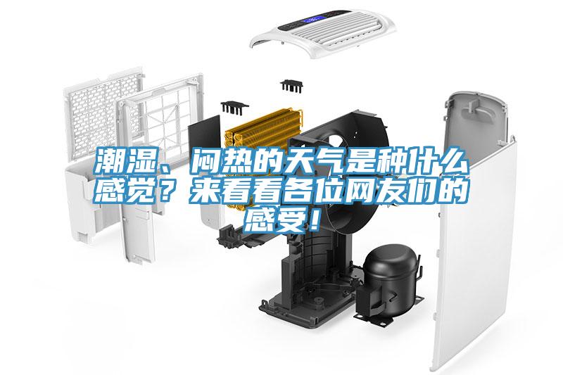 潮濕、悶熱的天氣是種什么感覺？來看看各位網(wǎng)友們的感受！