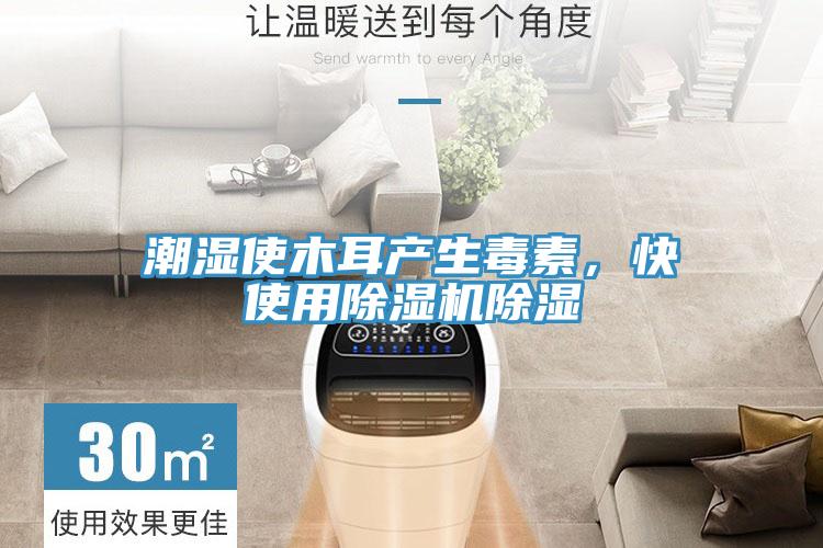 潮濕使木耳產(chǎn)生毒素，快使用除濕機(jī)除濕