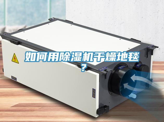 如何用除濕機(jī)干燥地毯？