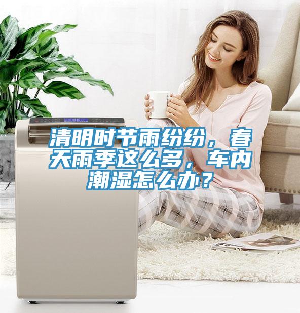 清明時(shí)節(jié)雨紛紛，春天雨季這么多，車內(nèi)潮濕怎么辦？