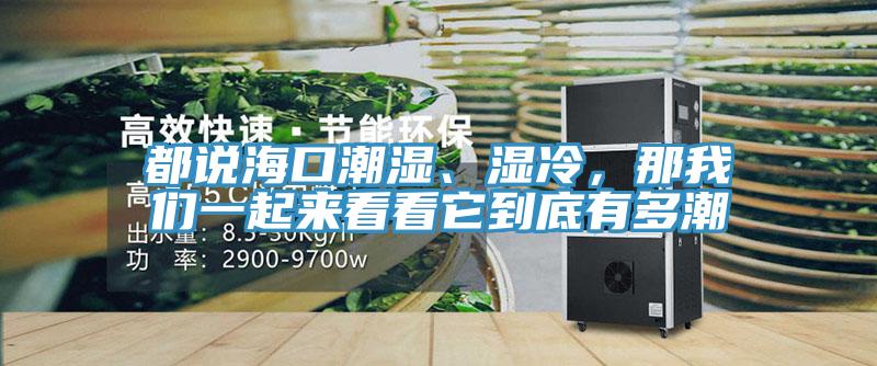 都說(shuō)海口潮濕、濕冷，那我們一起來(lái)看看它到底有多潮