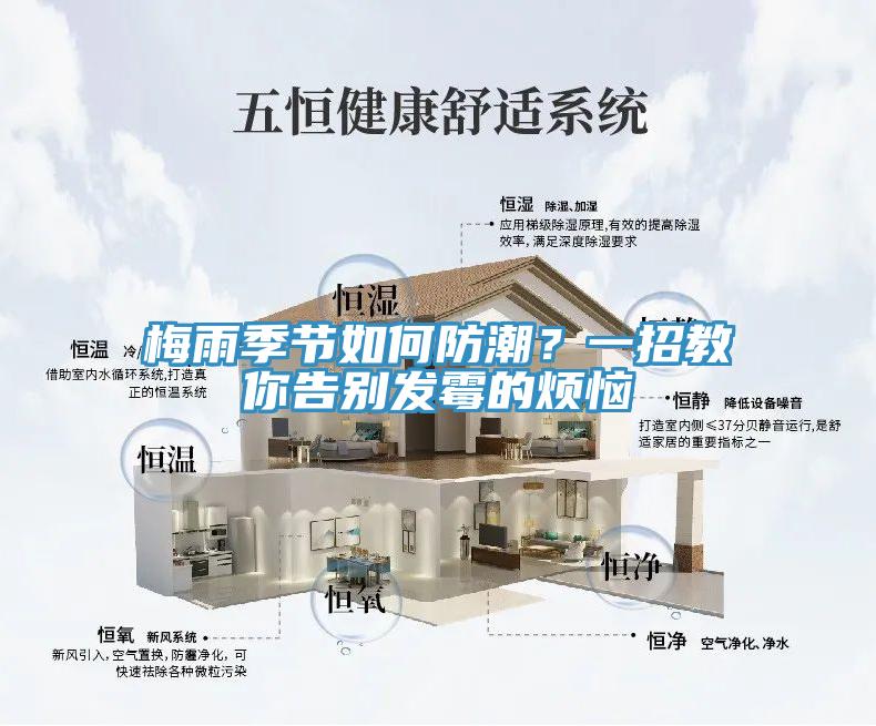 梅雨季節(jié)如何防潮？一招教你告別發(fā)霉的煩惱