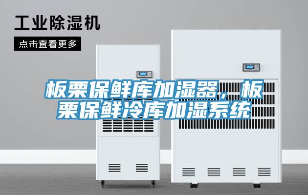 板栗保鮮庫加濕器，板栗保鮮冷庫加濕系統(tǒng)
