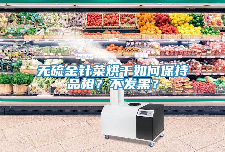 無硫金針菜烘干如何保持品相？不發(fā)黑？